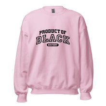 Load image into Gallery viewer, Product Of Black History - Sweatshirt