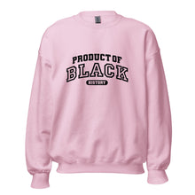 Load image into Gallery viewer, Product Of Black History -  Sweatshirt
